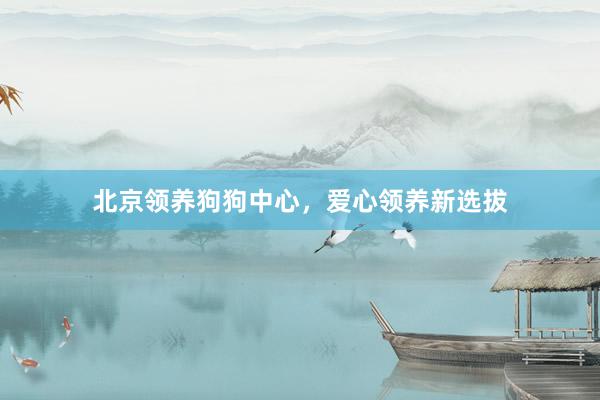 北京领养狗狗中心，爱心领养新选拔